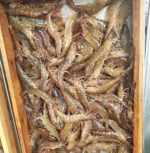 青岛海鲜品种排名前十(青岛海鲜餐厅人气排名)插图4