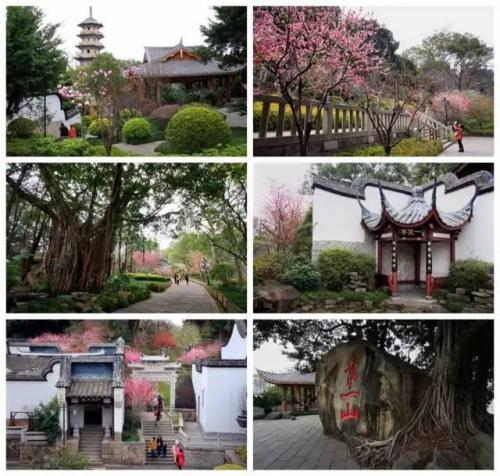漳州陇西饭店排名前十(漳州吃饭的地方哪家好)插图21