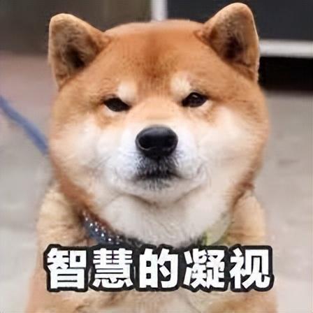 诺基亚6110(老诺基亚所有型号列表)插图18