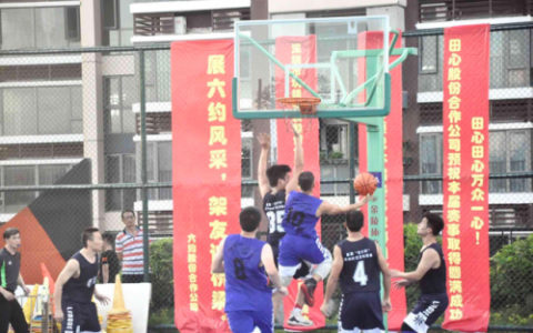 龙华篮球机构排名前十(龙华文体中心篮球直播)