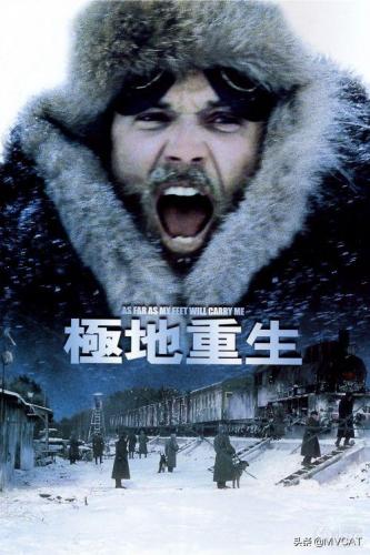 美国二战大片(美剧十部顶级巅峰之作)插图47