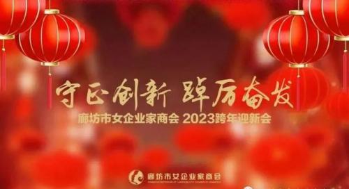 廊坊女首富排名前十(廊坊落垡首富是谁)插图
