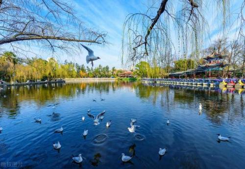 昆明旅游(昆明老街)插图25