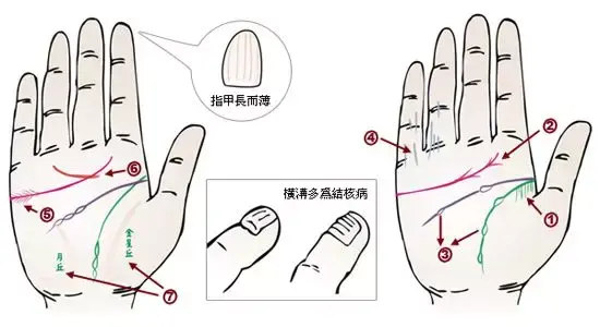 掌纹分析专家排名前十(掌纹密码书籍)插图23
