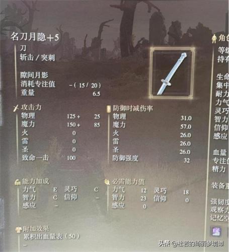 艾尔登法环剑士加点(艾尔登法环大剑加点)插图3