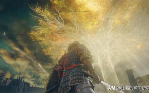 艾尔登法环剑士加点(艾尔登法环大剑加点)