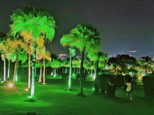 景洪旅游(景洪1500包吃住)插图3