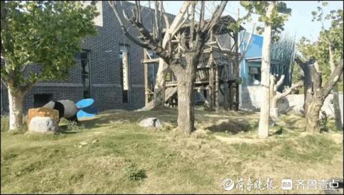 泰安旅游(泰安老街)插图22