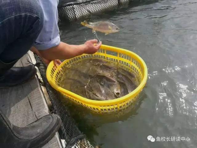 余杭外卖大餐排名前十(美团外卖年三十还送餐吗)插图19