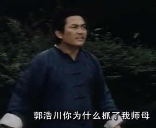 电视剧霍东阁(83版霍东阁演员表)插图4