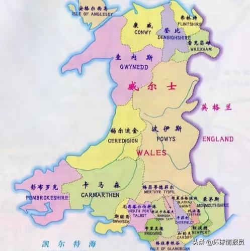 威尔士亲王(威尔士公爵)插图8