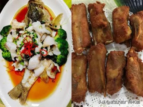 番禺打卡饭店排名前十(广州美食打卡地)插图5