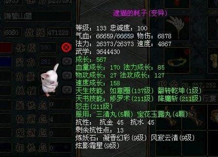 问道黑豹子(东北黑豹子)插图2