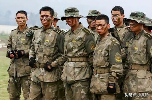 特种兵题材的电视剧(特战军旅电视剧)插图28