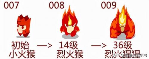 赛尔号魔焰猩猩技能等级(赛尔号精灵血量如何提高)插图1