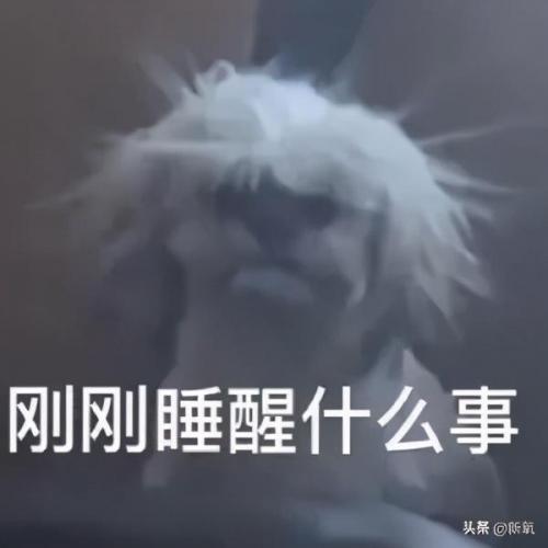 任豪百度百科(任豪百科介绍)插图1