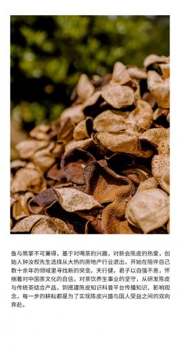 进口陈皮牌子排名前十(陈皮最好的品牌)插图7