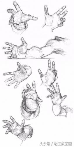 学画画零基础(附近的画画的地方培训班)插图5