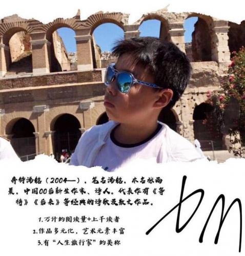 网络少年作家排名前十(中国网络作家排行榜)插图2
