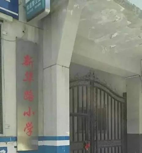 河北保定小学排名前十(保定市小学前20名排行榜)插图22