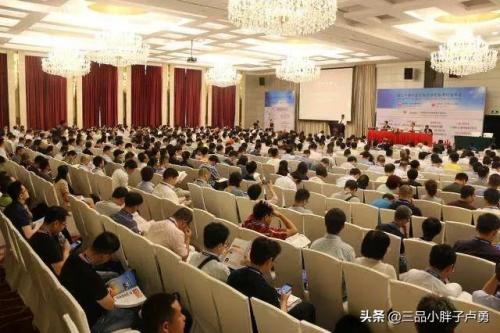 德国皮革胶水排名前十(皮革粘合剂)插图