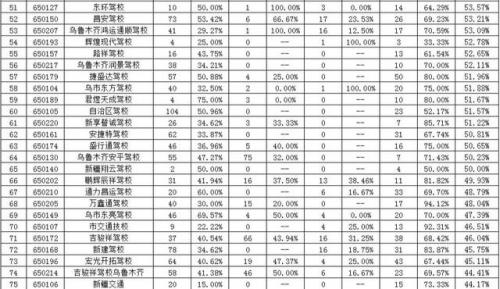 新疆专业驾校排名前十(喀什驾校排名前十名)插图3
