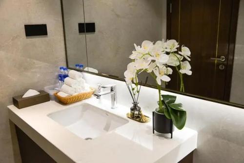 天然防臭植物排名前十(可以除臭的植物)插图1