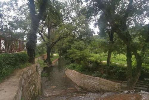 九江景点(九江49处免费景点)插图5