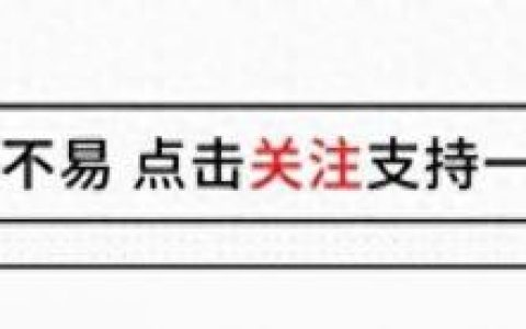 演员文章(演员文章个人简历)