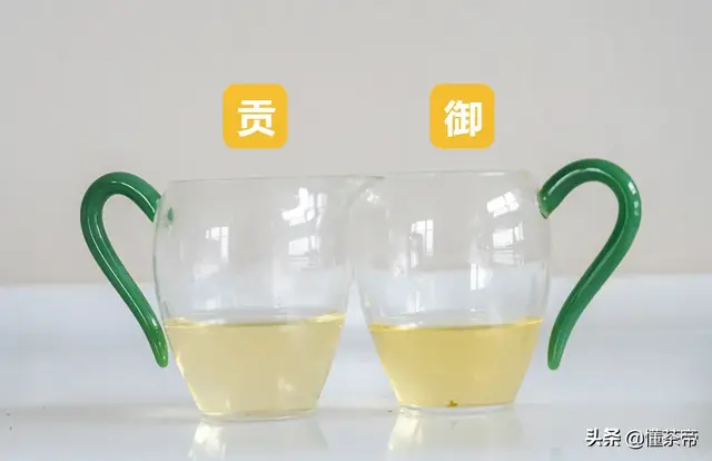 龙井品种排名前十图片(最好的龙井茶)插图8