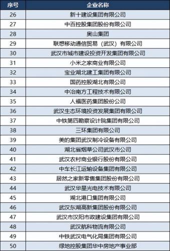 武汉纳税企业排名前十(武汉公司)插图3