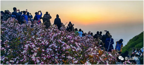 泰安旅游(泰安老街)插图2