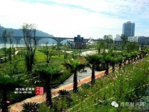 射洪风水大师排名前十(四川著名风水大师)插图7