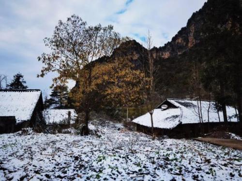 四川哪里下雪了(2023第一场雪)插图5
