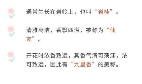 菡萏是什么(菡萏特殊含义)插图14