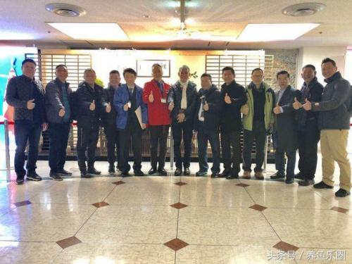 日本锦鲤冠军排名前十(日本锦鲤获奖名单)插图15
