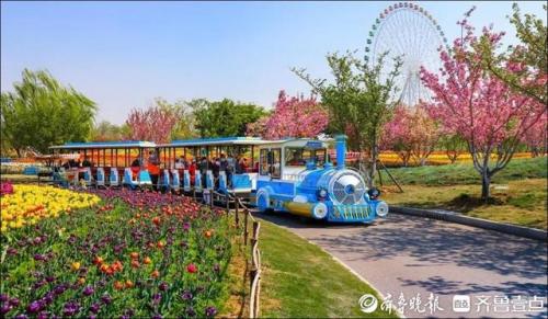 泰安旅游(泰安老街)插图17