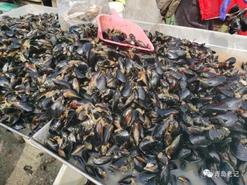 青岛海鲜品种排名前十(青岛海鲜餐厅人气排名)插图27