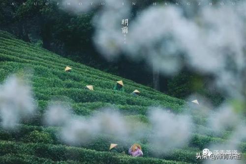 紫砂茶壶品牌排名前十(高端紫砂壶的品牌)插图2