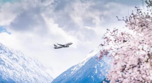 林芝旅游(林芝市简介)插图3