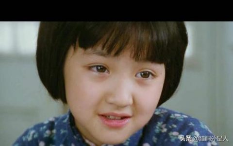 城南旧事主要内容(城南旧事的感悟20字)