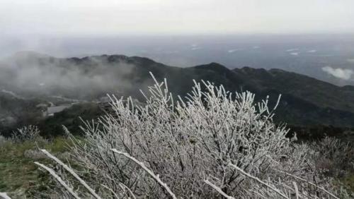 四川哪里下雪了(2023第一场雪)插图1