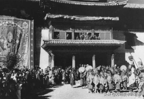 洛克王国禁忌的书房稀有宠物(50级厉害的洛克宠物)插图39