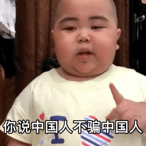中国人不骗中国人是什么梗(2023最火的梗前十名)插图6