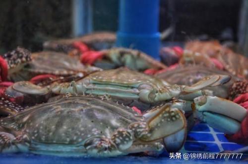 厦门小海鲜排名前十(厦门十大海鲜排行榜)插图6