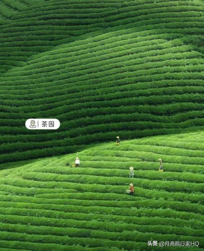 婺源冷门景区排名前十(婺源必去景点排行榜)插图3