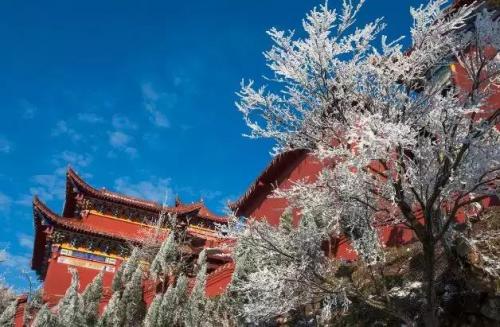 珠山油炸粑粑做法(潭下油炸粑粑做法)插图43