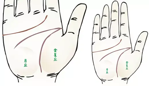 掌纹分析专家排名前十(掌纹密码书籍)插图3
