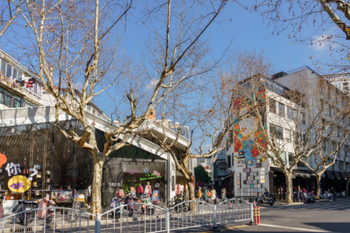 番禺宠物商场排名前十(广州宠物店)插图41