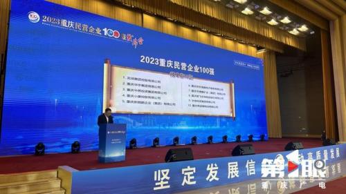 重庆消费公司排名前十(重庆商家排行榜)插图2